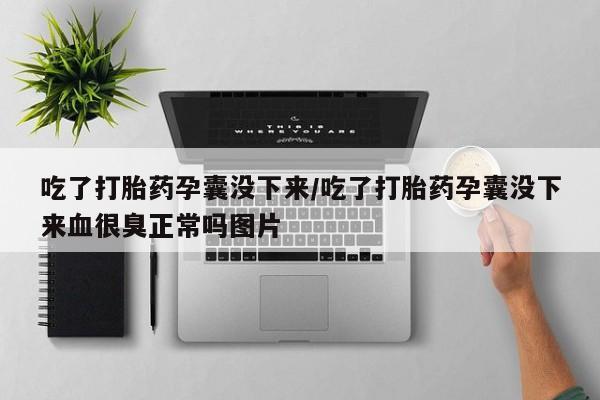 哪里有米非司酮片,吃了打胎药孕囊没下来/吃了打胎药孕囊没下来血很臭正常吗图片